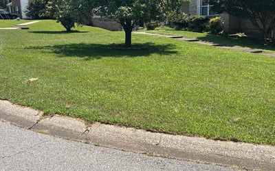 Photo of Crystal G.'s yard after getting lawn care in Ashland, KY