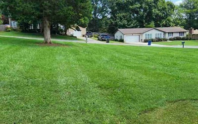 Photo of Effie S.'s yard after getting lawn care in Corryton, TN