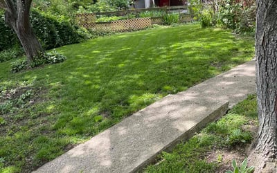 Photo of Terry S.'s yard after getting lawn care in Belle Vernon, PA
