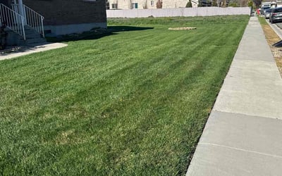 Photo of Mikayla G.'s yard after getting lawn care in Riverton, UT