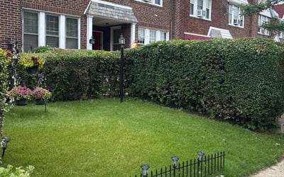Photo of Heather P.'s yard after getting lawn care in Chester, PA