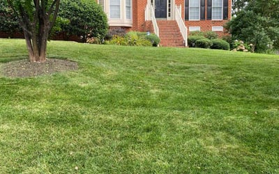 Photo of Lou S.'s yard after getting lawn care in Midlothian, VA