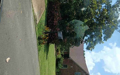 Photo of Sterling H.'s yard after getting lawn care in Somerville, TN