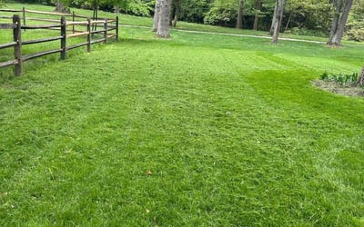Photo of Amy L.'s yard after getting lawn care in Mason, OH