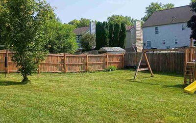 Photo of Miles H.'s yard after getting lawn care in Davidson, NC