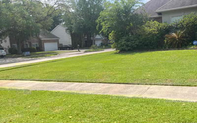 Photo of LaToya A.'s yard after getting lawn care in Slidell, LA
