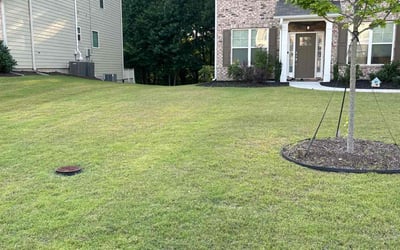 Photo of Richard F.'s yard after getting lawn care in Richardson, TX