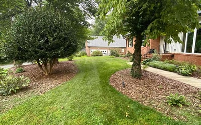 Photo of Yong Z.'s yard after getting lawn care in Greensboro, NC