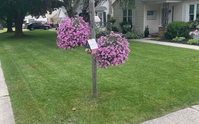 Photo of Anthony D.'s yard after getting lawn care in West Bend, WI