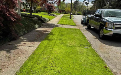 Photo of Dean C.'s yard after getting lawn care in Powhatan, VA