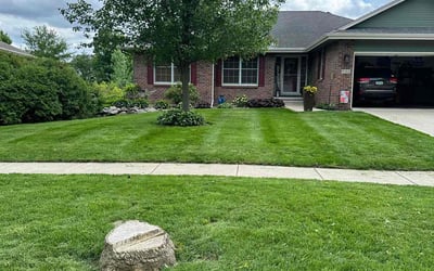 Photo of Jennifer N.'s yard after getting lawn care in Ankeny, IA