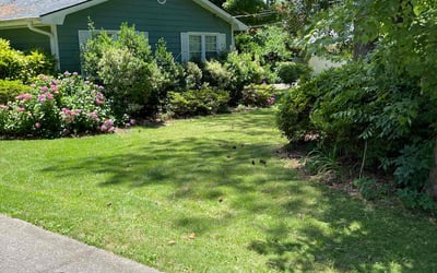 Photo of Dhrubojyoti D.'s yard after getting lawn care in Smyrna, GA