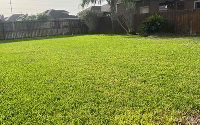 Photo of Brian K.'s yard after getting lawn care in Mission, TX