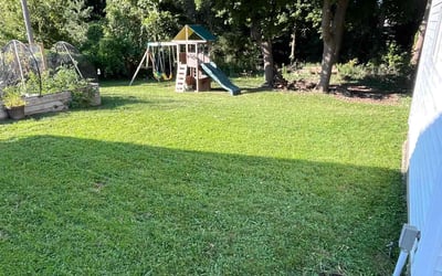 Photo of Tsarina B.'s yard after getting lawn care in Sterling Heights, MI