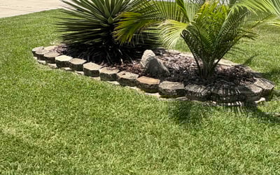 Photo of Robert M.'s yard after getting lawn care in Claymont, DE