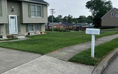 Photo of Paige S.'s yard after getting lawn care in Niceville, FL