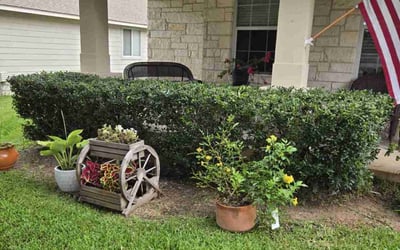 Photo of Jamieson M.'s yard after getting lawn care in Millsboro, DE