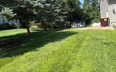 Photo of Khalina B.'s yard after getting lawn care in Birmingham, AL