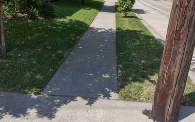 Photo of Yvonne M.'s yard after getting lawn care in Alexandria, LA