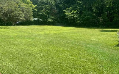 Photo of David W.'s yard after getting lawn care in Round Lake, IL