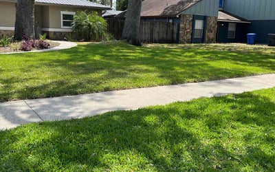 Photo of Madison N.'s yard after getting lawn care in Tampa, FL
