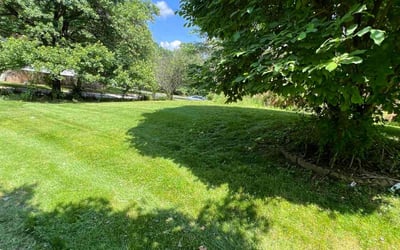 Photo of Angela C.'s yard after getting lawn care in Silver Spring, MD