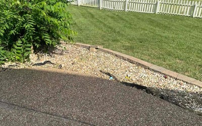Photo of Bobby C.'s yard after getting lawn care in Liberty, SC