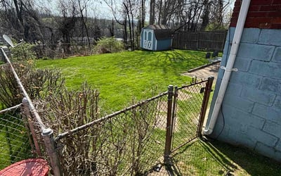 Photo of Edy A.'s yard after getting lawn care in Pittsburgh, PA