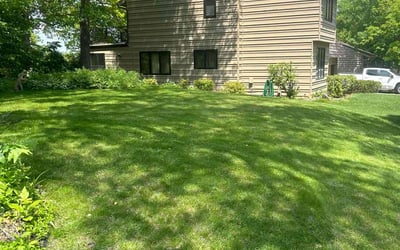 Photo of John H.'s yard after getting lawn care in Fayetteville, AR