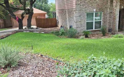 Photo of Amber J.'s yard after getting lawn care in San Antonio, TX