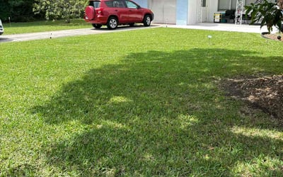 Photo of Austin M.'s yard after getting lawn care in Pompano Beach, FL