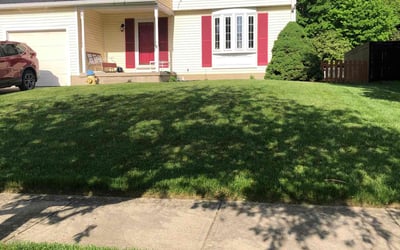Photo of Brandon R.'s yard after getting lawn care in Dayton, OH