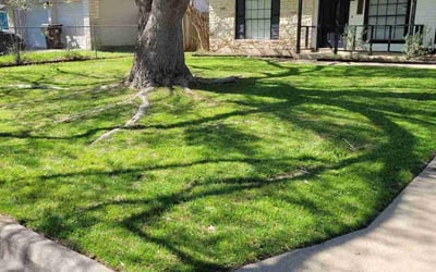 Photo of Tracey L.'s yard after getting lawn care in Canoga Park, CA
