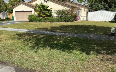 Photo of Valerie M.'s yard after getting lawn care in Hialeah, FL