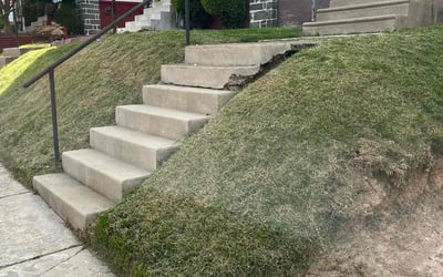 Photo of Chris S.'s yard after getting lawn care in Upper Darby, PA