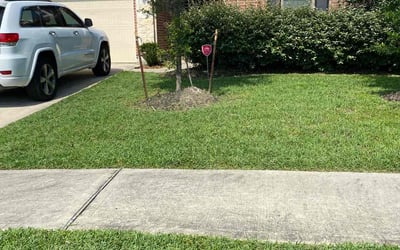 Photo of Donmoneke D.'s yard after getting lawn care in Crosby, TX