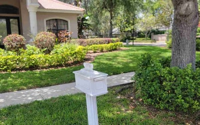 Photo of Norbert M.'s yard after getting lawn care in Tampa, FL