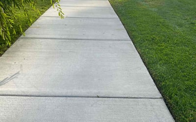 Photo of Jacquelyn P.'s yard after getting lawn care in White Lake, MI