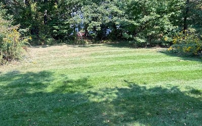 Photo of Sharon G.'s yard after getting lawn care in Webster, MA
