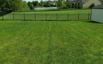 Photo of Douglas P.'s yard after getting lawn care in Blacklick, OH