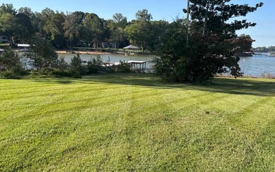 Photo of Thomas D.'s yard after getting lawn care in Mooresville, NC