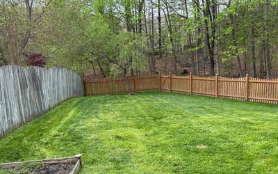 Photo of Satirah G.'s yard after getting lawn care in Culpeper, VA
