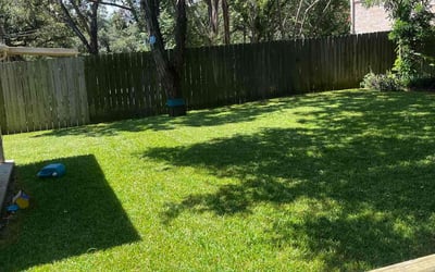 Photo of Gustavo S.'s yard after getting lawn care in Wimberley, TX