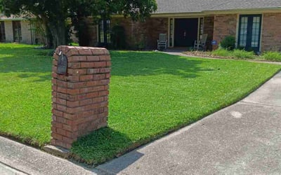 Photo of Cassandra B.'s yard after getting lawn care in Biloxi, MS