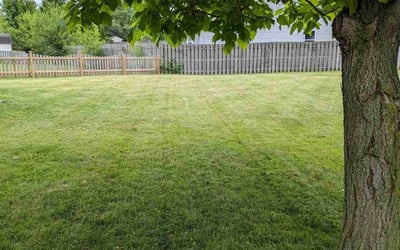 Photo of Colton S.'s yard after getting lawn care in Brownsburg, IN
