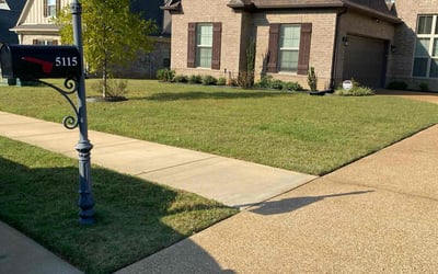 Photo of Carol F.'s yard after getting lawn care in Southaven, MS