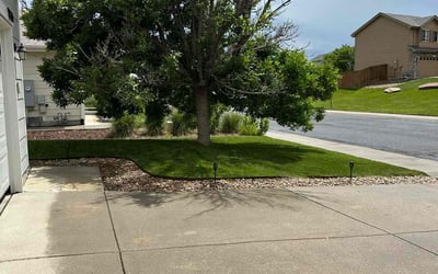 Photo of Penny B.'s yard after getting lawn care in Englewood, OH