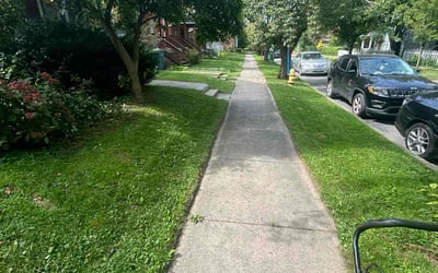 Photo of Sandra A.'s yard after getting lawn care in Newark, NY