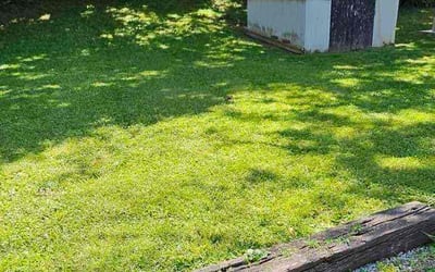 Photo of Brent P.'s yard after getting lawn care in Canton, OH