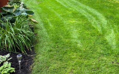Photo of Linda F.'s yard after getting lawn care in Englewood, FL